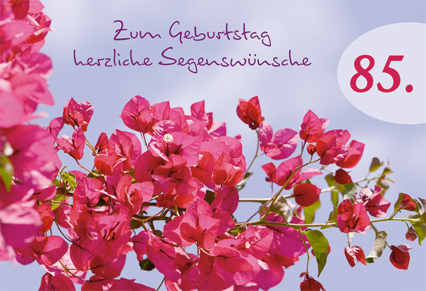 Doppelkarte Zum 85. Geburtstag herzliche Segenswünsche55910621