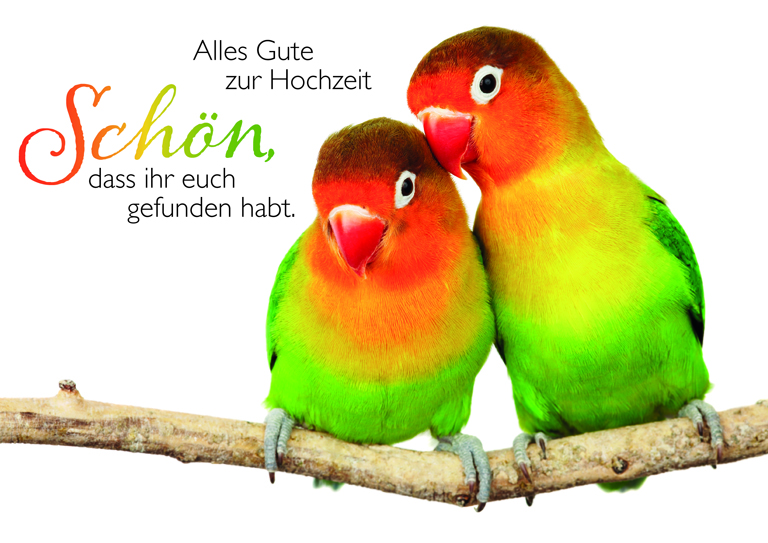 alles gut zur hochzeit