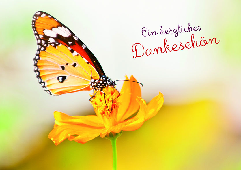 Dankeschön sprüche, Danke, Dankeschön