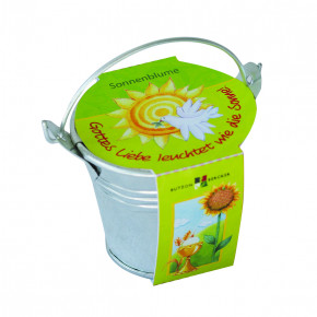 Sonnenblumen-Pflanzenset