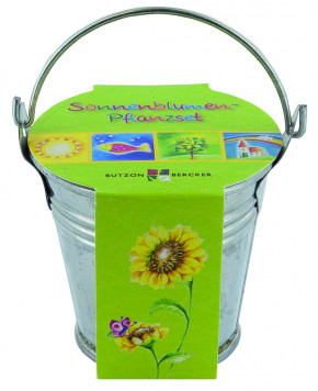 Sonnenblumen-Pflanzenset