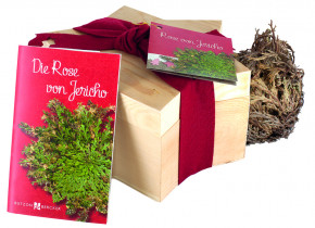 Rose von Jericho