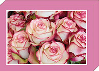Grußkarten-Geschenkbox Rosen