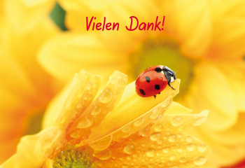 Danke sagen