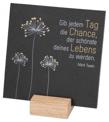 Schiefertafel - Die Chance