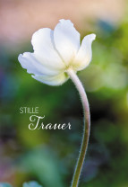 Trauer