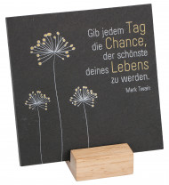 Schiefertafel - Die Chance