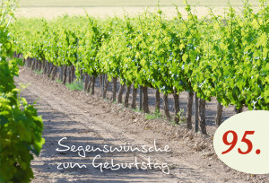 Doppelkarte Segenswünsche zum 95. Geburtstag