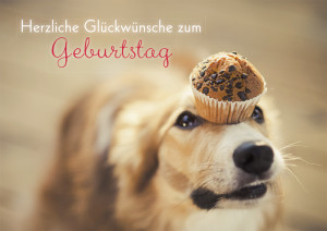 Glückwunschkarte Herzliche Glückwünsche zum Geburtstag