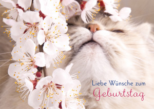 Glückwunschkarte Liebe Wünsche zum Geburtstag