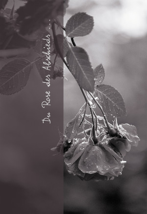 Trauerkarte Du Rose des Abschieds ...
