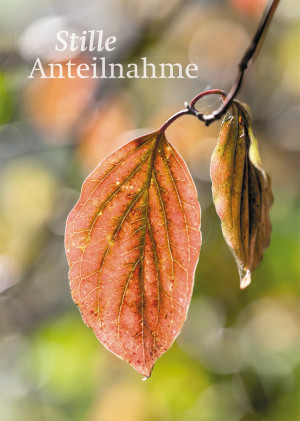 Trauerkarte Stille Anteilnahme