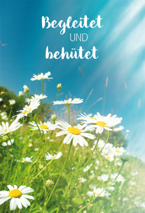 Klappkarten zu Genesung Begleitet und behütet