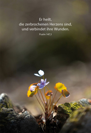Trauerkarte - Er heilt, die zerbrochenen Herzens sind...