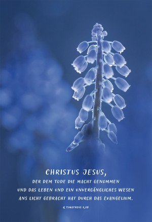 Trauerkarte - Christus Jesus, der dem Tode die Macht genommen...