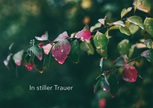 Trauerkarte - In stiller Trauer