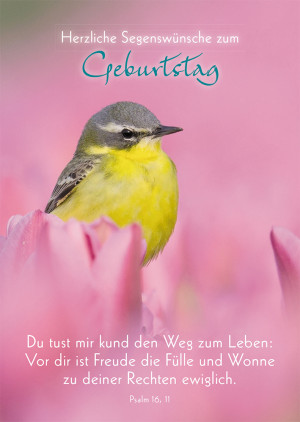 Postkarte Herzliche Segenswünsche zum Geburtstag