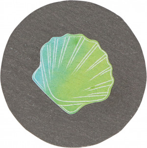SchieferMagnet Muschel 