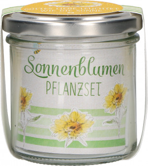 Sonnenblumen-Pflanzset - Gottes Liebe leuchtet wie die Sonne
