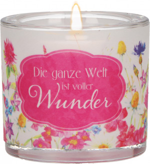LichtMoment Wunder