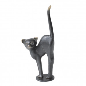 Katze mit Buckel