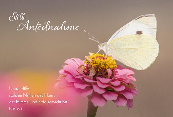 Doppelkarte Stille Anteilnahme