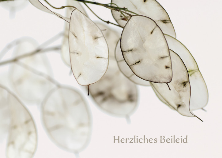 Trauerkarte - Herzliches Beileid