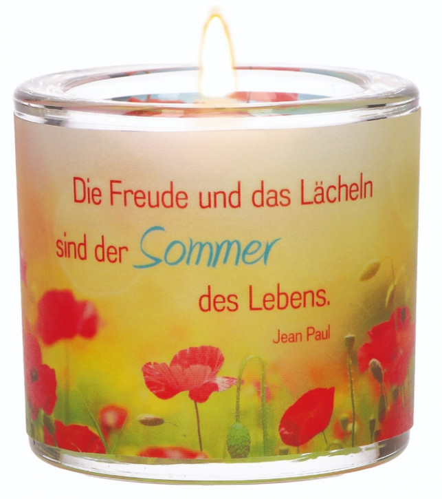 Glaswindlicht - Sommer des Lebens