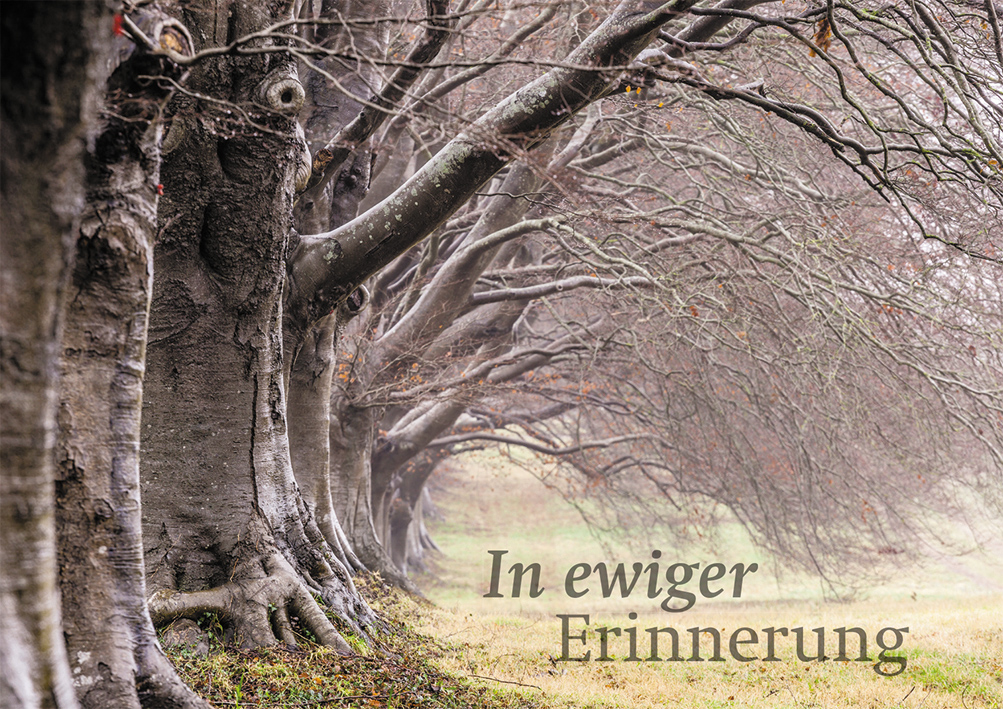 In Ewiger Erinnerung In Ewiger Erinnerung