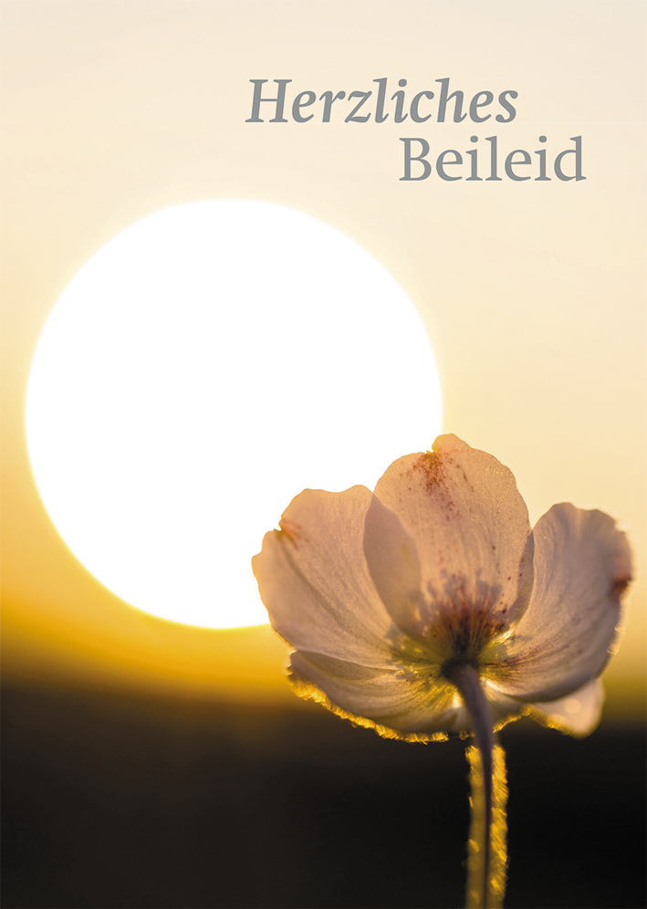 Herzliches Beileid Englisch