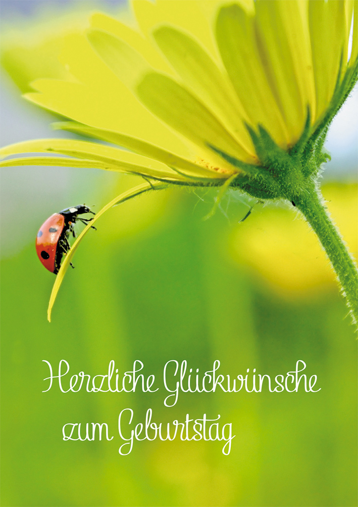 Zum Geburtstag Liebe Grusse 359 Alles Liebe Zum Geburtstag