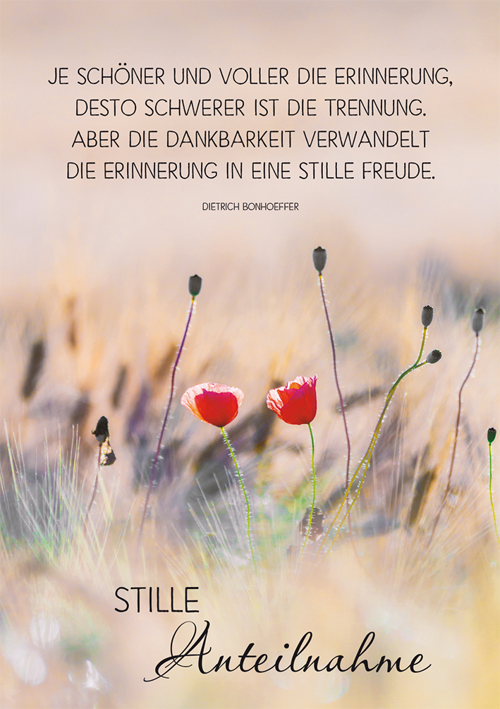 Trauerkarte Stille Anteilnahme