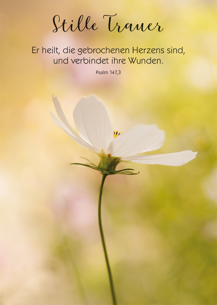 Superb Heiße Brünette Sehr Süß Vor Anhörung In Einzel Superb Heiße Brünette Sehr Süß Vor Anhörung In Einzel