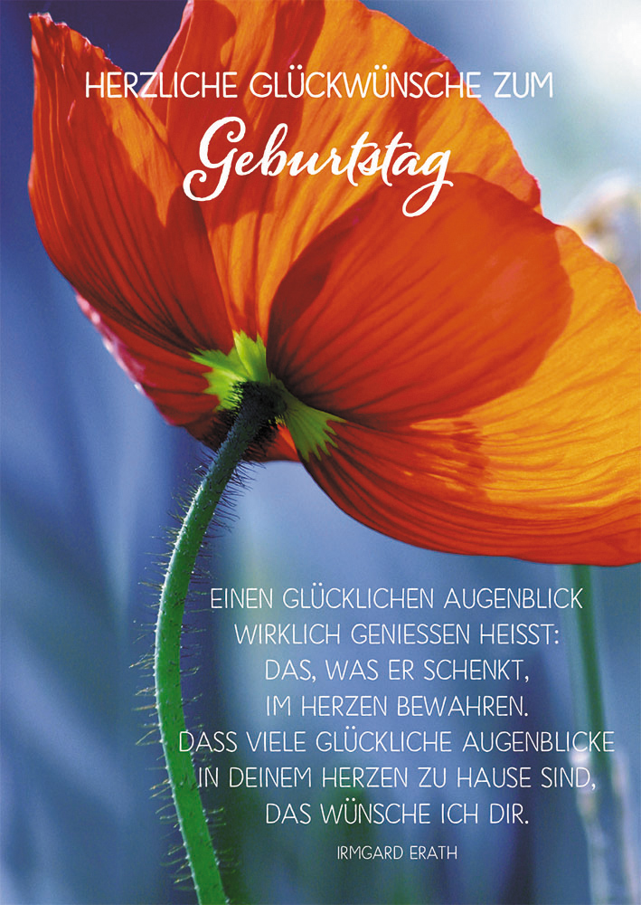 Postkarte Herzliche Glückwünsche zum Geburtstag